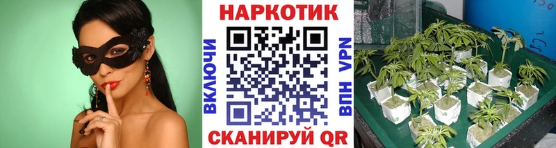 Продажа наркотиков Пустошка COCAIN  Мефедрон  APVP  АМФ  ГАШИШ 