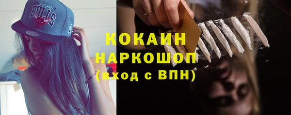 spice Алзамай