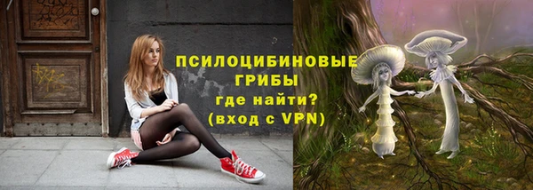твердый Алексеевка