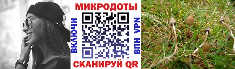 Галлюциногенные грибы ЛСД  Пустошка 